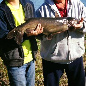 Meet your Posher, Gabe